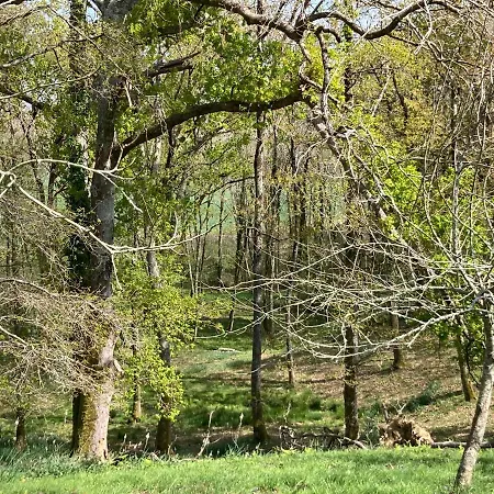 Villa Maison Dans La Prairie *
