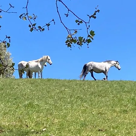 Maison Dans La Prairie *